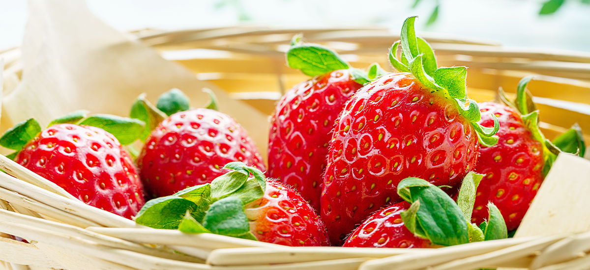 おいしさの秘密